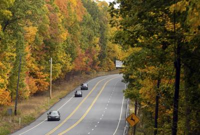 Fall Foliage